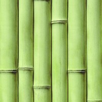 PVC panel with digital printing "Bamboo Olive" 2700x250x9 mm