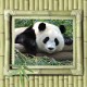 Set of PVC panels with digital printing "Bamboo Olive - Panda" 2700x250x9 mm, 3 pcs
